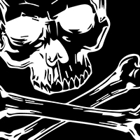 Black Skull&Crossbones         Lining