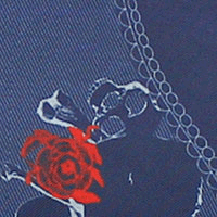 Exclusive Fancy Navy Skull Lining
