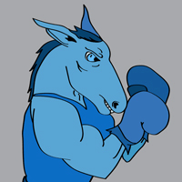 Silver Democrats Lining