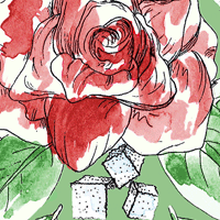 Mint Kentucky Derby Lining