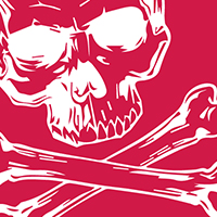 Red Skull&Crossbones Lining