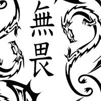 White Dragon Fearlessr Lining