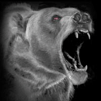 Bear Lining