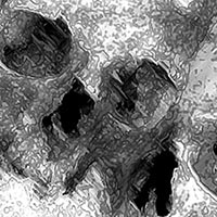 Black Catacomb Skull Lining