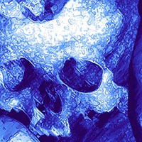 Royal Catacomb Skull Lining