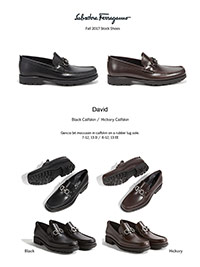 Ferragamo Fall 2017                                                                                                                                                                                                                                       , David by Ferragamo
